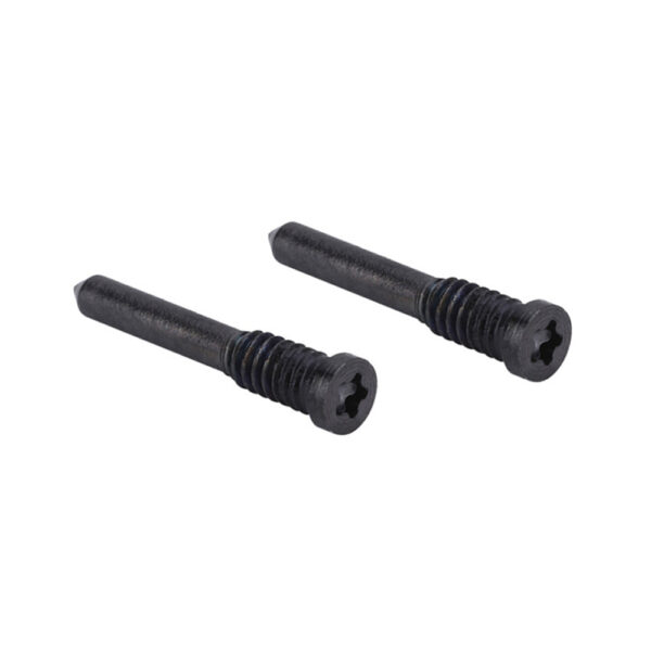 iPhone 12 Pro Max Bottom Screws Graphite (2 pcs)